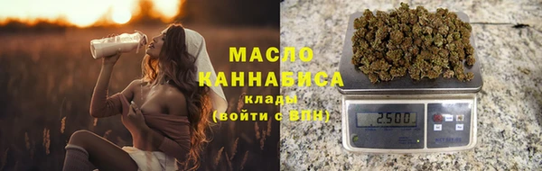 индика Приозерск