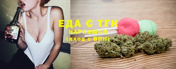 индика Приозерск