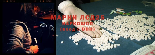 индика Приозерск