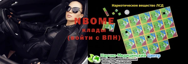твердый Таштагол
