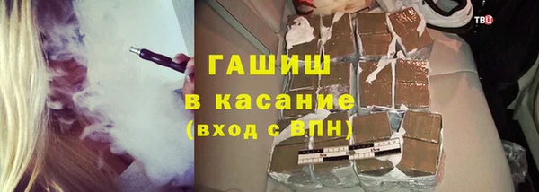 индика Приозерск