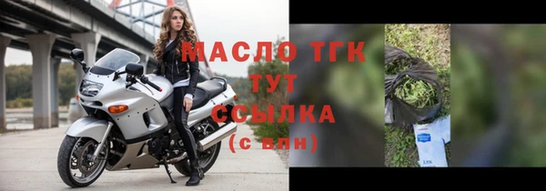 индика Приозерск