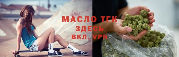 индика Приозерск