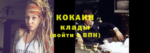 индика Приозерск