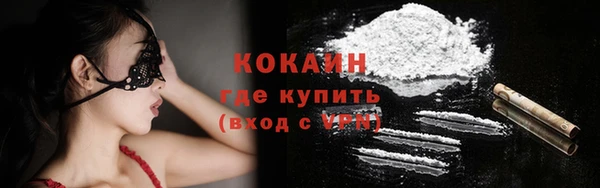 индика Приозерск