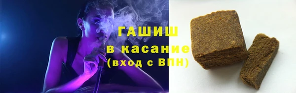 индика Приозерск