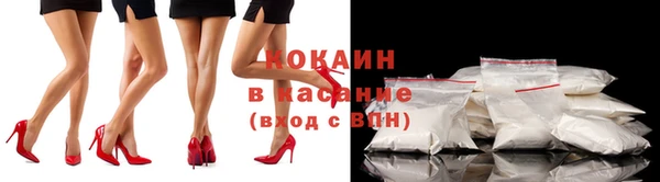 индика Приозерск