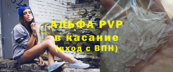индика Приозерск