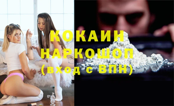 индика Приозерск