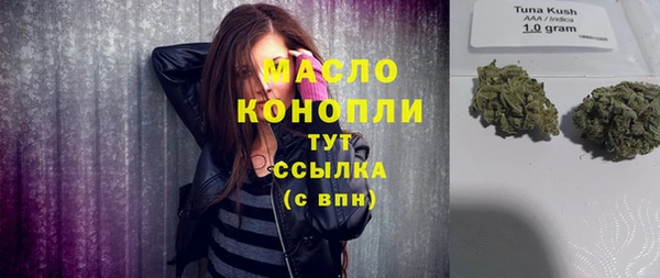 индика Приозерск
