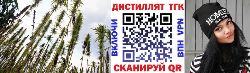 Дистиллят ТГК THC oil  даркнет сайт  Ступино 