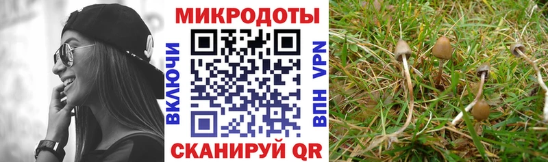 Псилоцибиновые грибы ЛСД  Ступино 